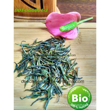 Green Tea of Organic